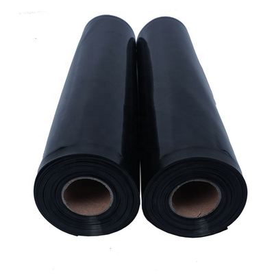 Confezione da 2 sacchetti sottovuoto richiudibili in rotolo di plastica Mylar con chiusura sottovuoto nera e trasparente